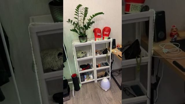 Внезапный разговорный с Yermakov Play