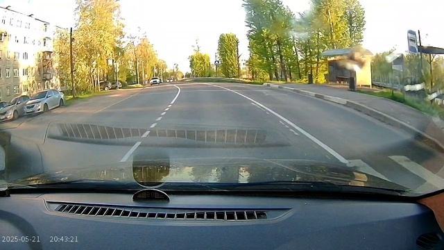 Видимо, в России ПДД учат не только в школе, но и в лесу 🦔