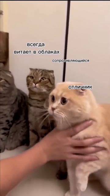 Типичный класс 😜
