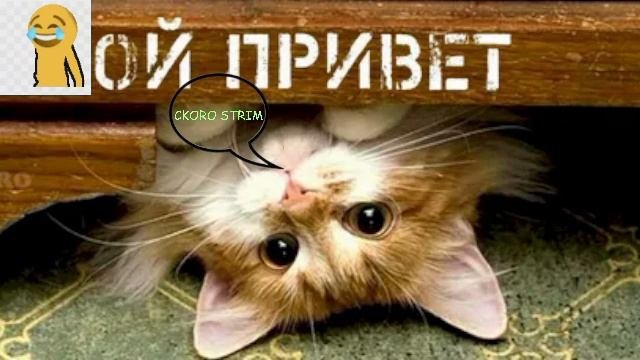 трансляция не только по МАЙНКРАФТУ а ещё (Standoff 2-Roblox-просьба подписчиков) только на РУТУБ