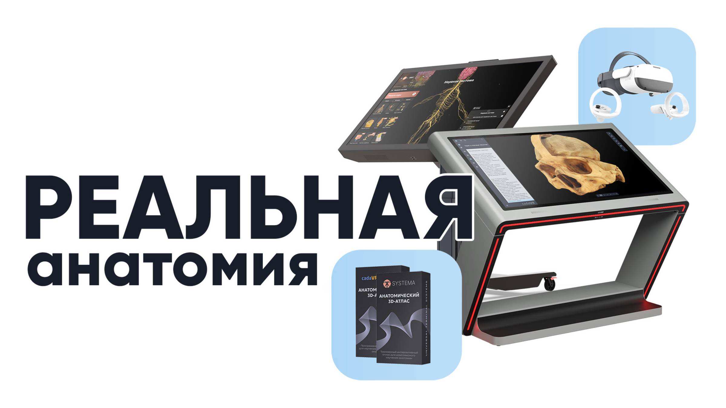 Интерактивный анатомический стол «ПАК Реальная анатомия»