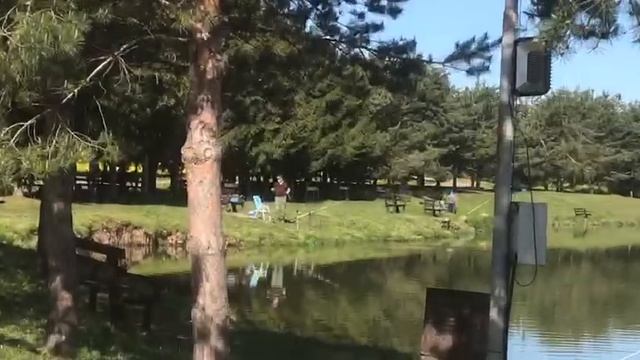 поимка карпа на большом водоёме