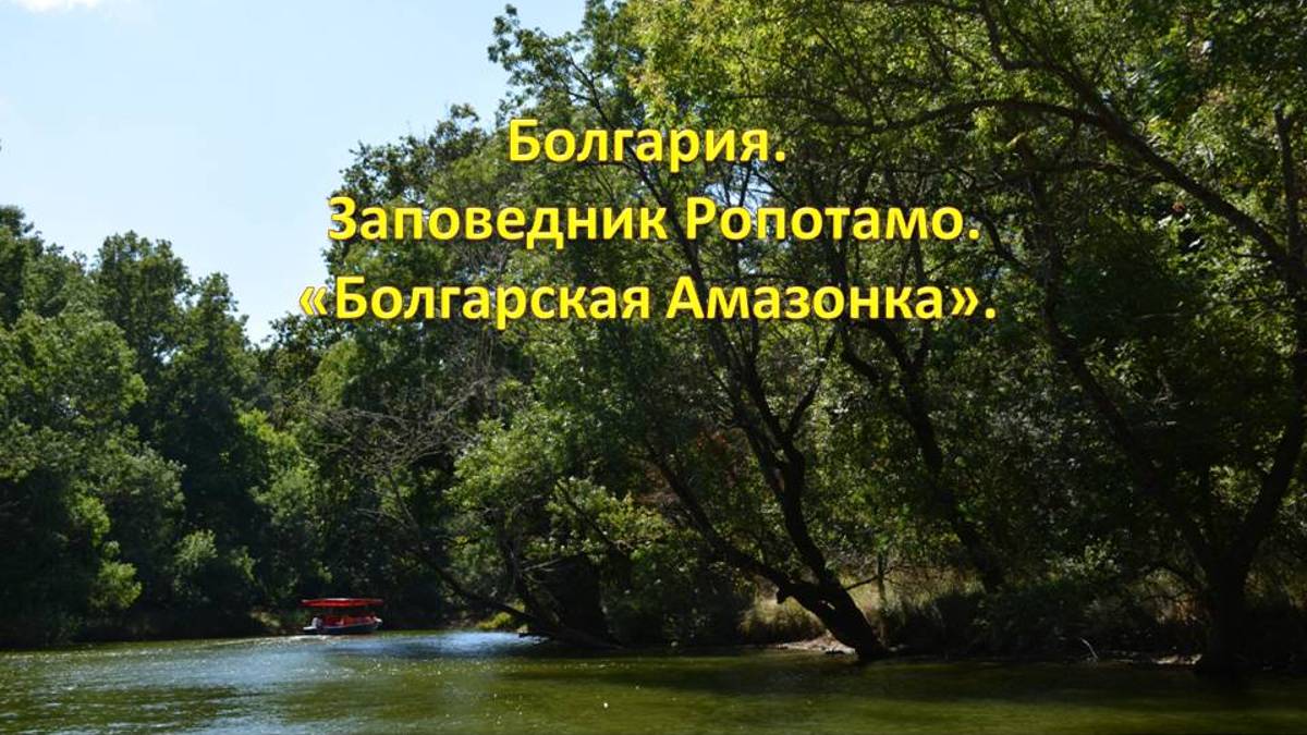 Болгария. Экскурсия в Заповедник Ропотамо. Река Ропотамо - "Болгарская Амазонка".