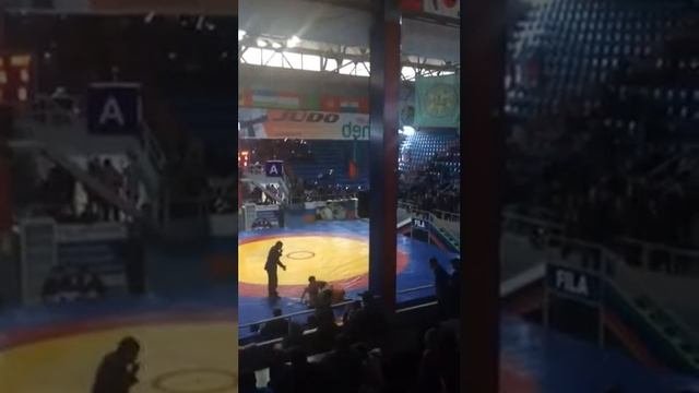Тисси