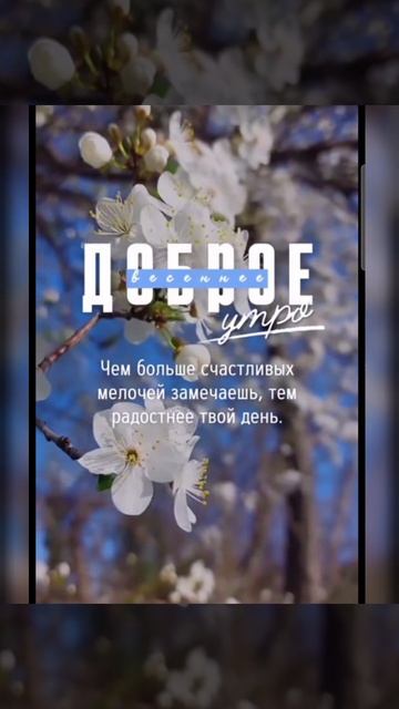 Доброе утро #доброеутро #благодарность