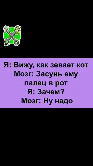 Кот #shorts #iшортс #анекдоты #смех #юмор