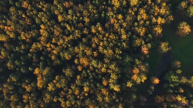 Эта мелодия перезагружает ваше биополе - попробуйте осторожно! - Spirit Walk With Me -- Ketsa -- The