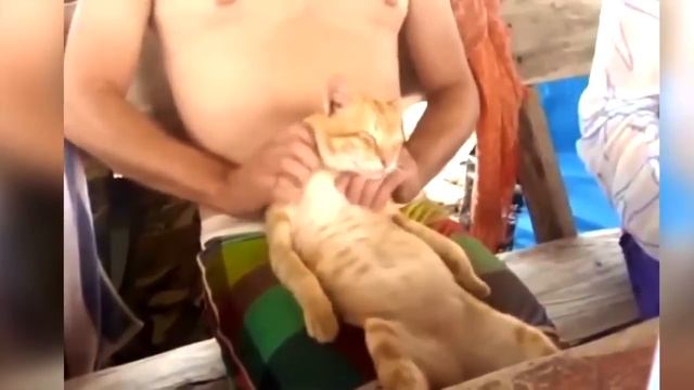 ПРИКОЛЫ МАРТ / ВИДЕО ПРИКОЛЫ №1 / Смешное видео Подборка приколов / КАЙФОПРИКОЛЫ