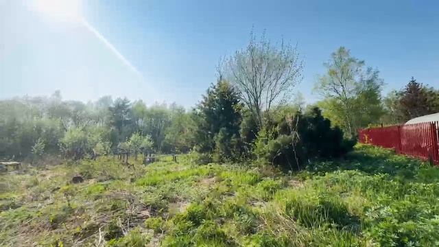 WhatsApp Video 2025-05-22 at 11.28.15