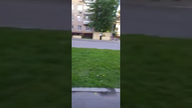 Вопрос от подписчика Анатолия Пресненского о бордюрах и асфальте в Москве!