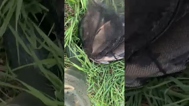 1000013182.mp4