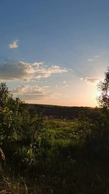 Соловьный вечер на Зуше. Записки из Тургеневских мест Отшельника Мценского уезда.