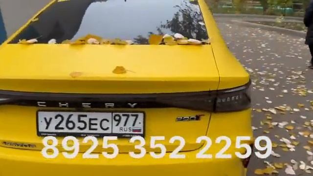 ВЫКУП БЕРИЛЕТ  2 ЧЕРРИ АРИЗО8  1 БЕЛЖЕЕ Х50  ПЕРВОНАЧАЛЬН?