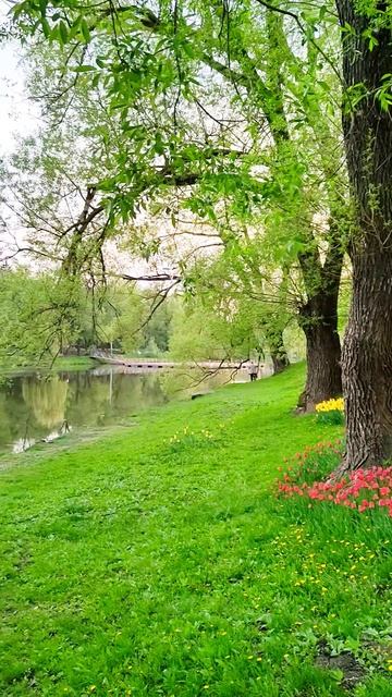 Белгород, парк Победы