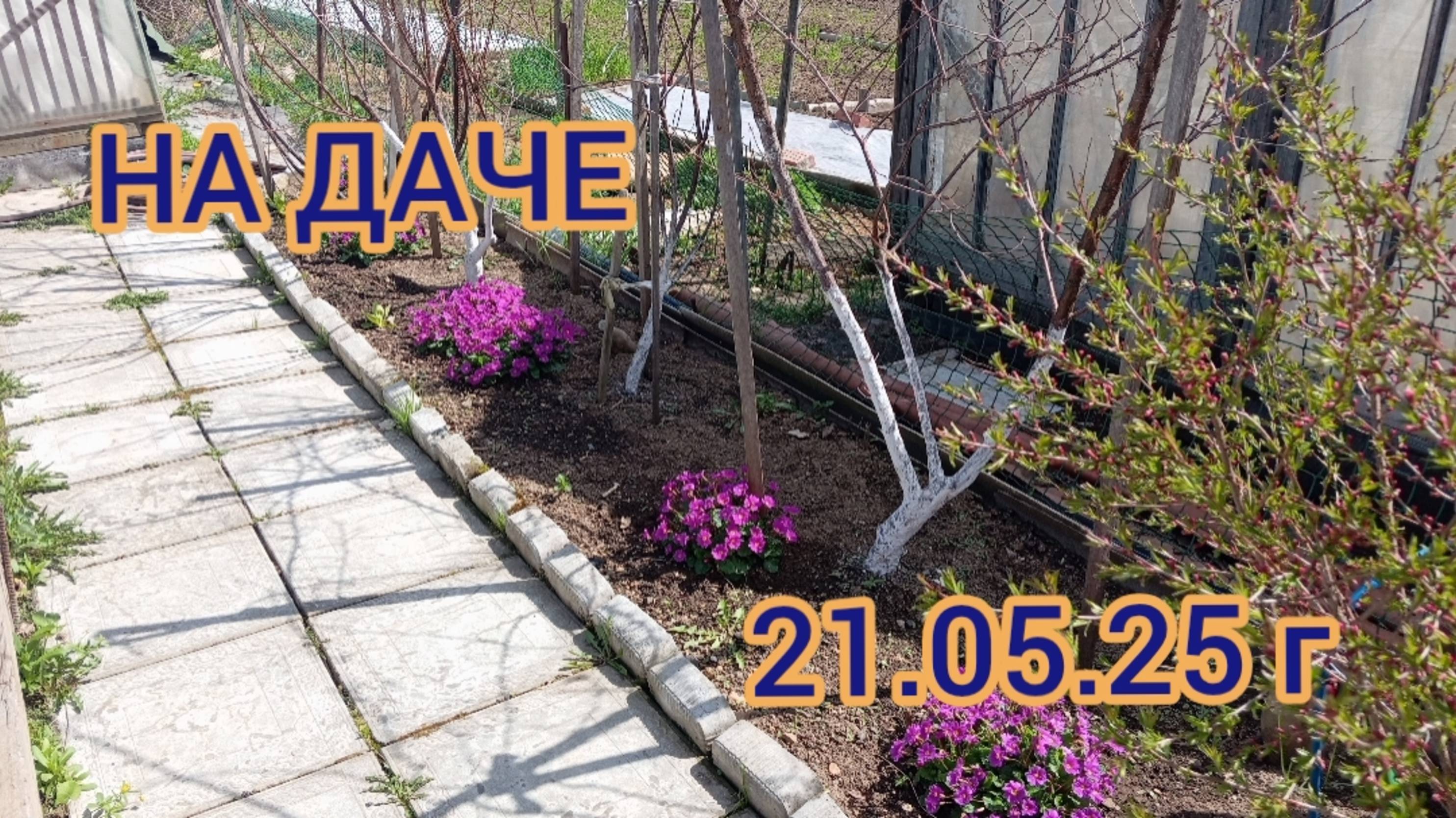 НА ДАЧЕ/ ВЫСАЖИВАЮ ЛУКИ и обо всем понемногу. 21.05.35 г