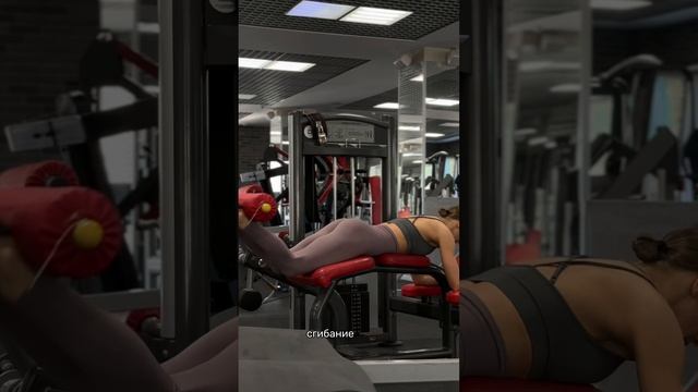 ТРЕНИРОВКА НА НОГИ И ЯГОДИЦЫ В ТРЕНАЖЕРНОМ ЗАЛЕ