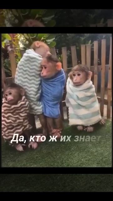 1000005665.mp4