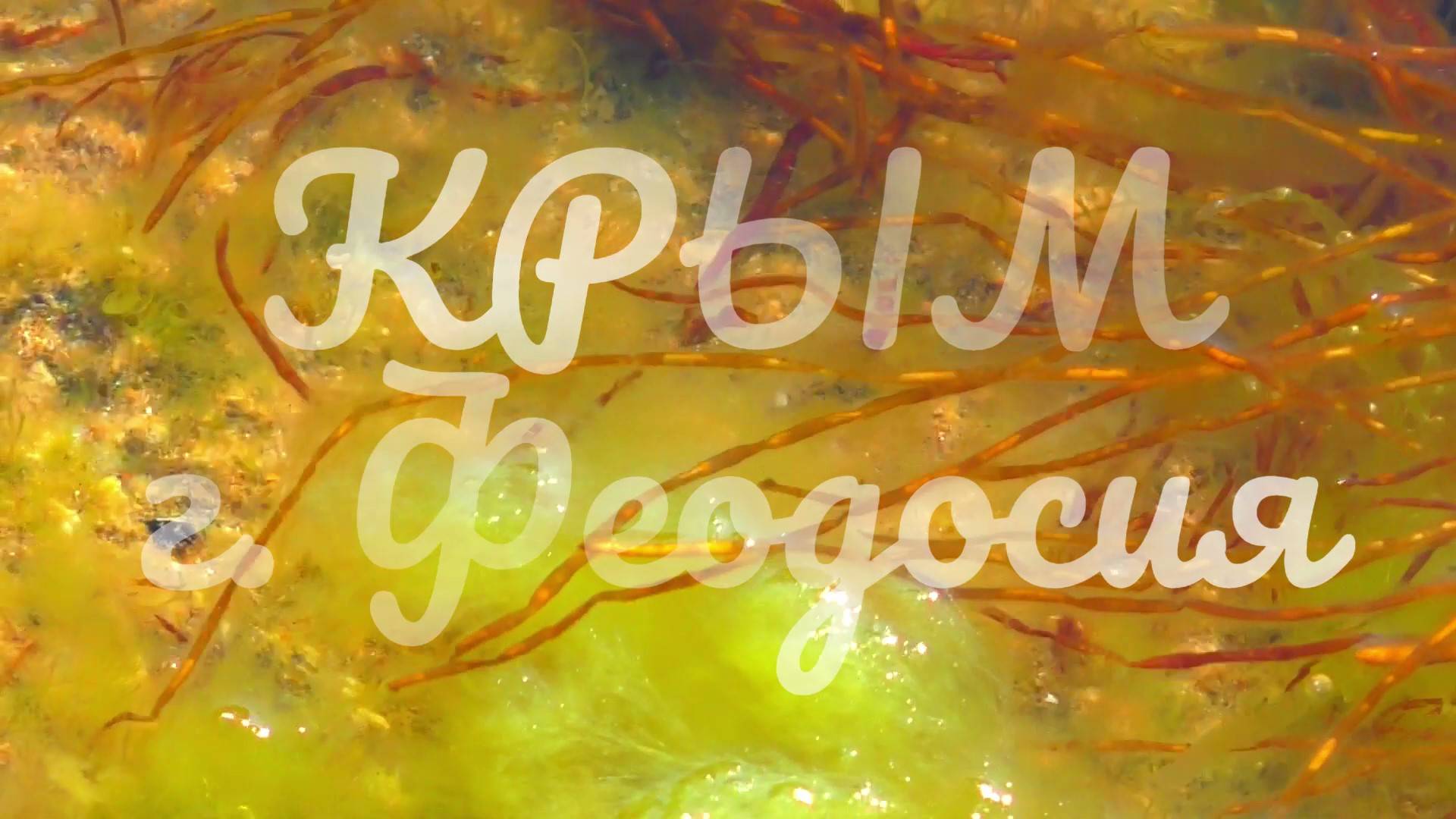 КРЫМ г.Феодосия