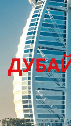 dubai/shorts