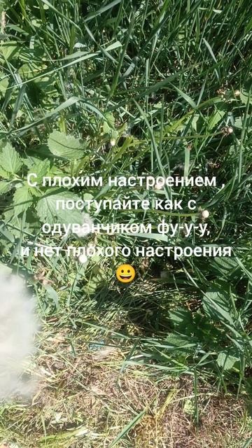 позитивное настроение  💯