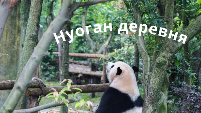 Нуоган деревня. Китай