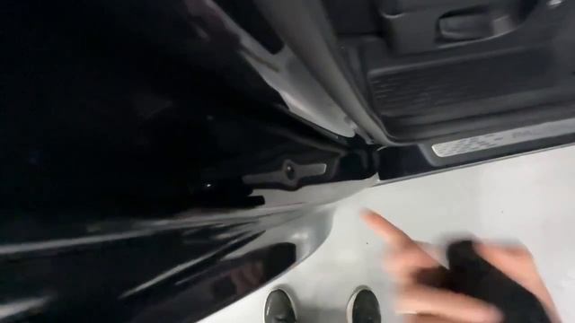 Hyundai Palisade Caligraphy