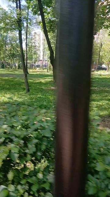 Бабушкинский парк