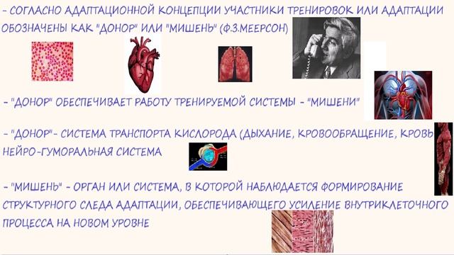 Лучший способ реабилитации и профилактики