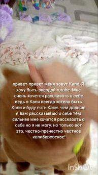 про мою игрушку