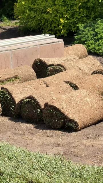 Рулонный газон в Воронеже #рулонныйгазон Доставка