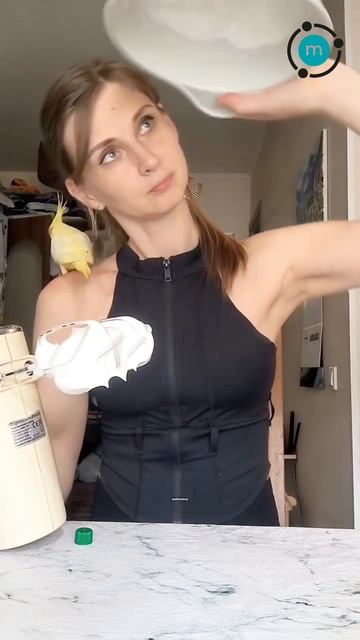 Идеальное пирожное Павлова с альбумином Molecularmeal (wb: 216565471)