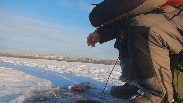Прикормил подлещика. Активный клев на чертика. Зима 24-25