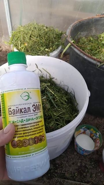 #Лучшее Натуральное Удобрение Своими Руками#