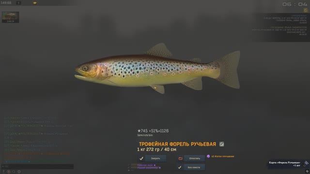 Fisher Online. Польша. Форель ручьевая Трофейное место