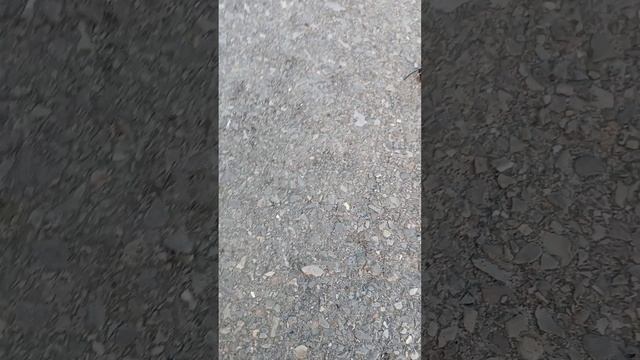 Господи кто это