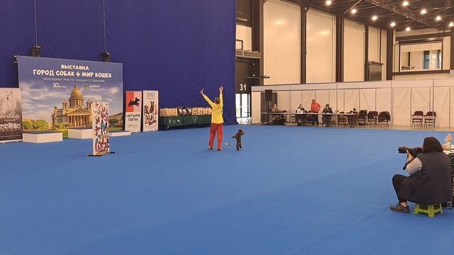1000011530.mp4.Ирина Латинская.Чемпионат Р.К.Ф.по танцам с собаками.Экспофорум.Санкт-Петербург.2025