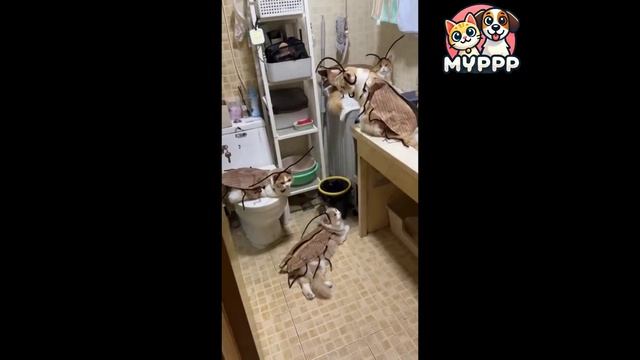 🐱✨ Когда кот — не просто кот, а… майский жук!