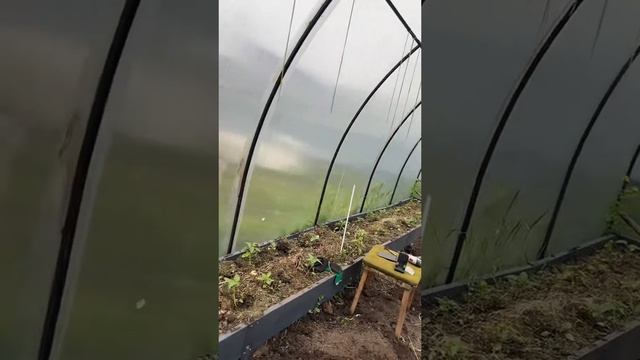 Продолжаю собирать грядки #уралочка #уральскаядевушка