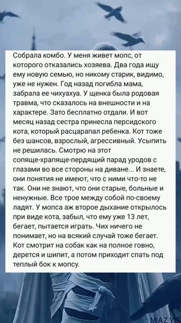 мопс #подпишись