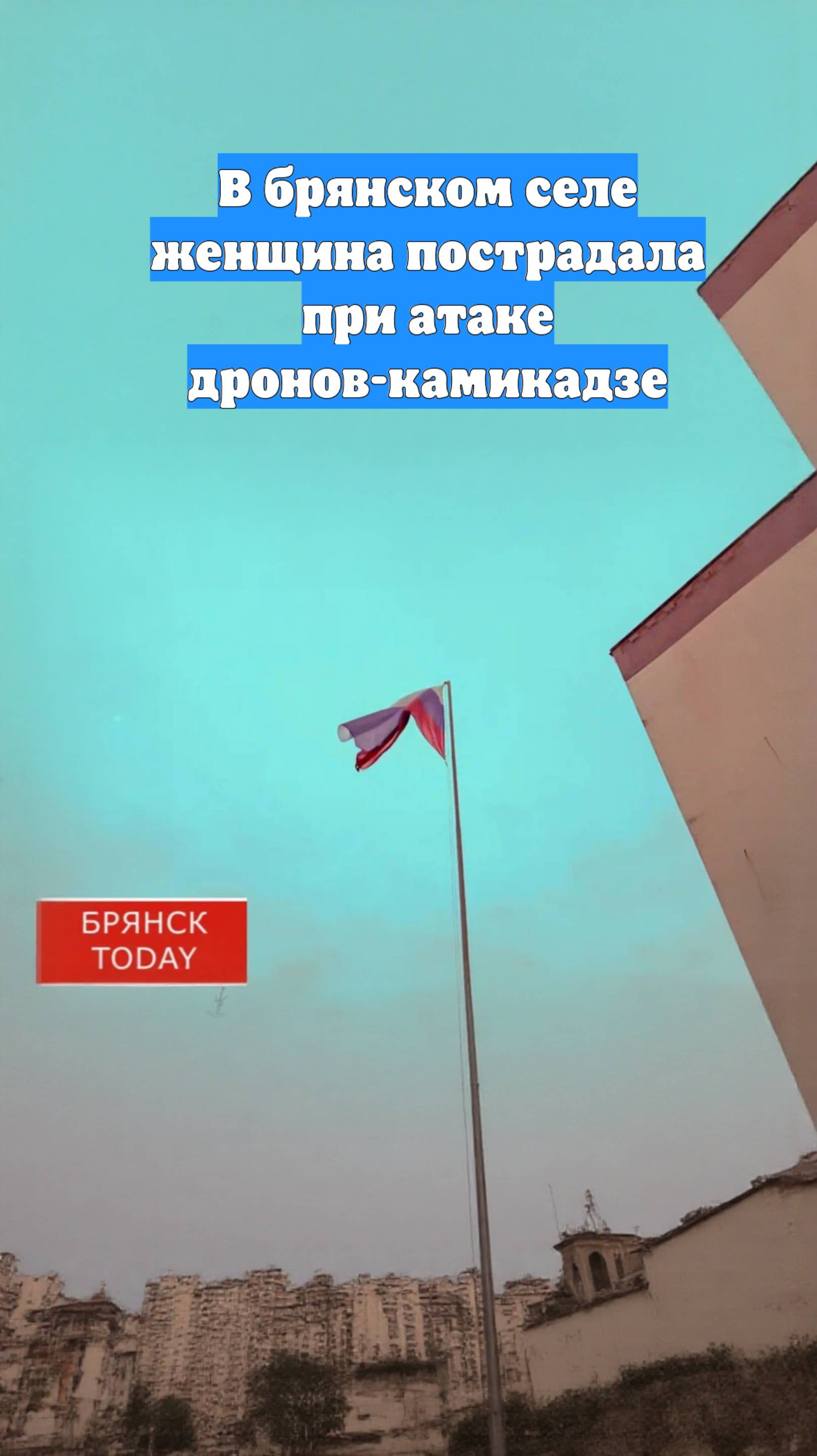 В брянском селе женщина пострадала при атаке дронов-камикадзе