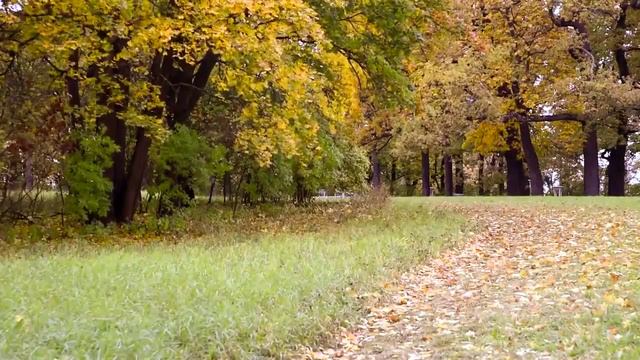 Земля ещё недавно была не заселена