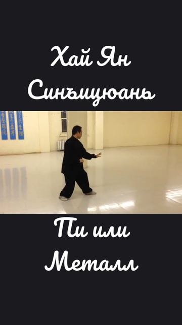 Хай Ян. Синъицюань. Пи или Металл