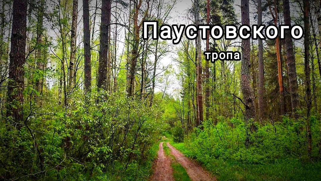 Тропа Паустовского. Часть 3