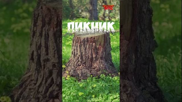 Пикник