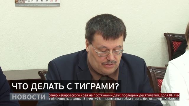 Конфликтные тигры: как решить проблему?
