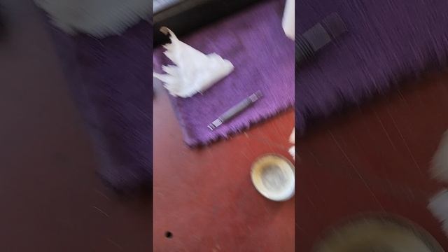 Как туалетная бумага помогает..,,,