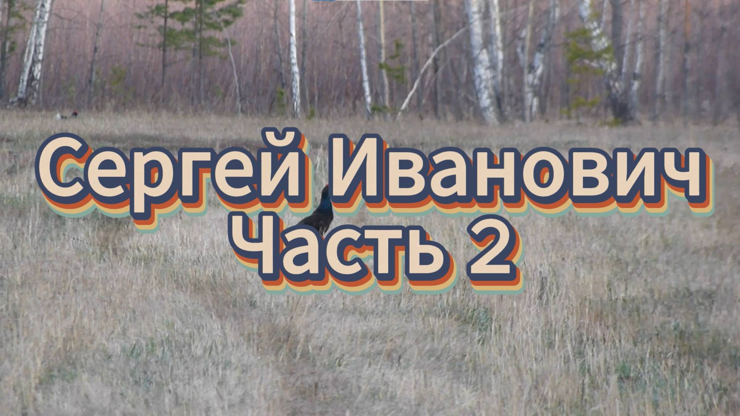 Разговор с интересным человеком. Сергей Иванович. Часть 2