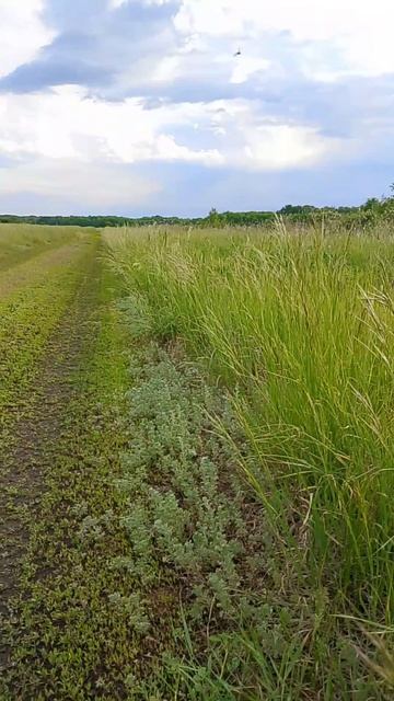 весною случилось лето