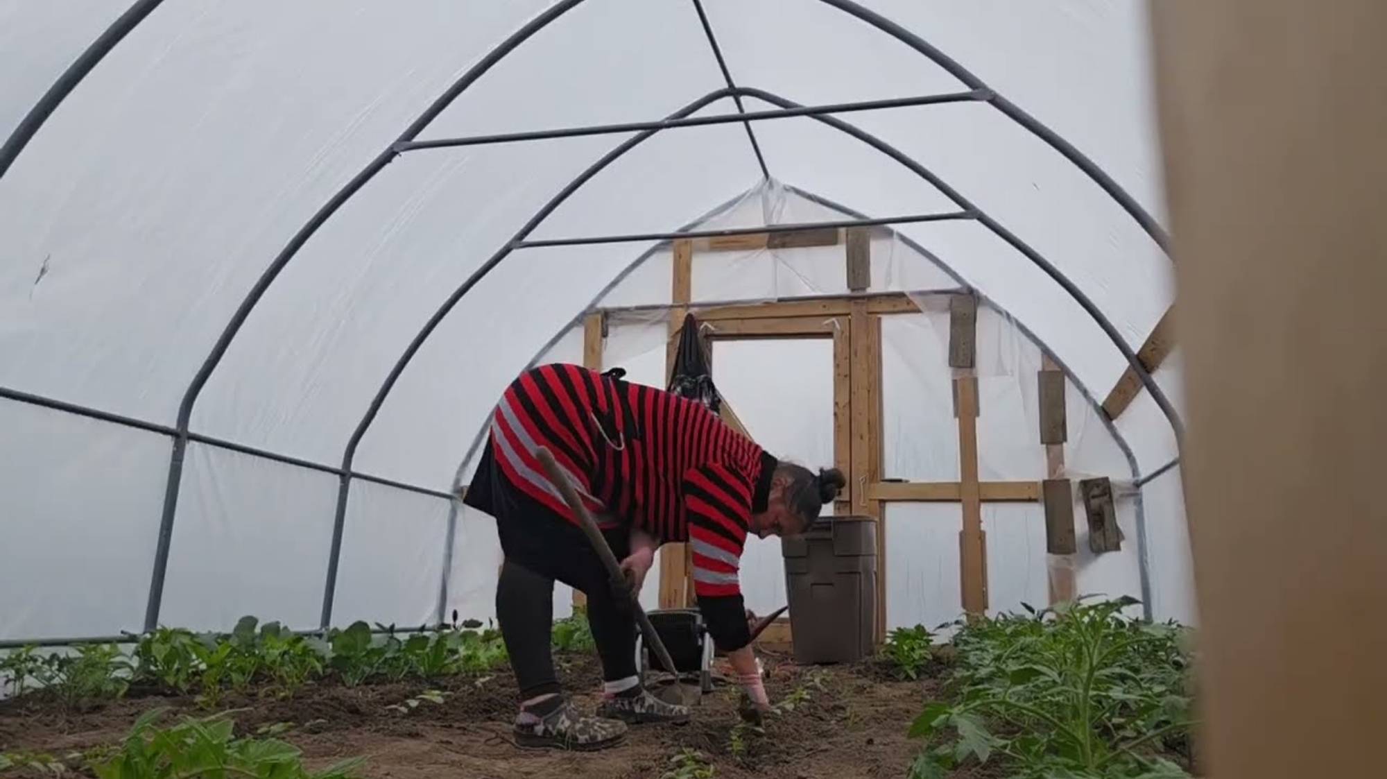 СЕЛЬЧАНКА В АМЕРИКЕ. НЕ ПОКУПАЙТЕ ДОМ В АМЕРИКЕ.