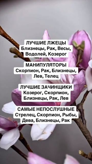 ЛУЧШИЕ ЗНАКИ ЗОДИАКА